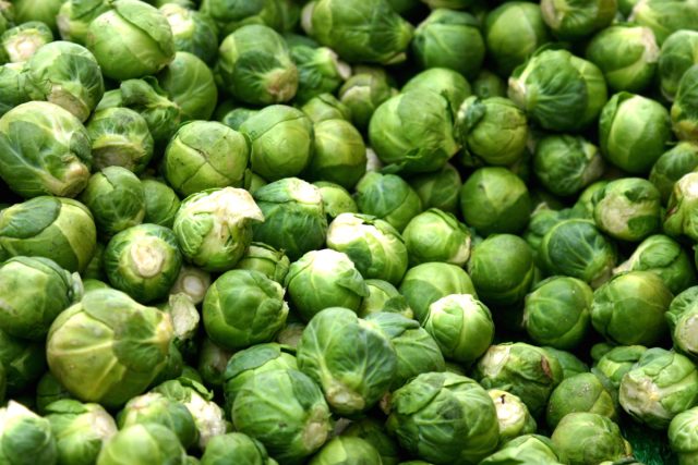 Брюссельская капуста (Brassica oleracea var. Gemmifera)