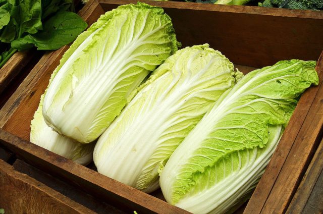 Пекинская капуста (Brassica rapa subsp. pekinensis)