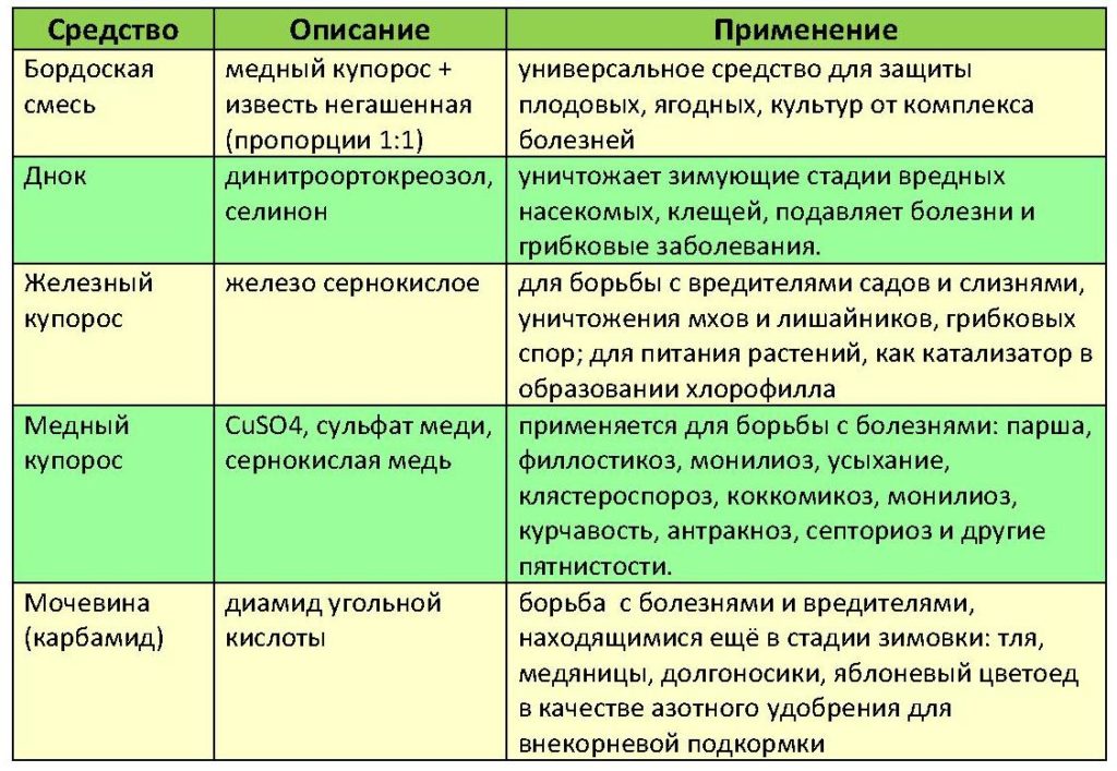 Обработка яблони осенью от парши и грибковых заболеваний
