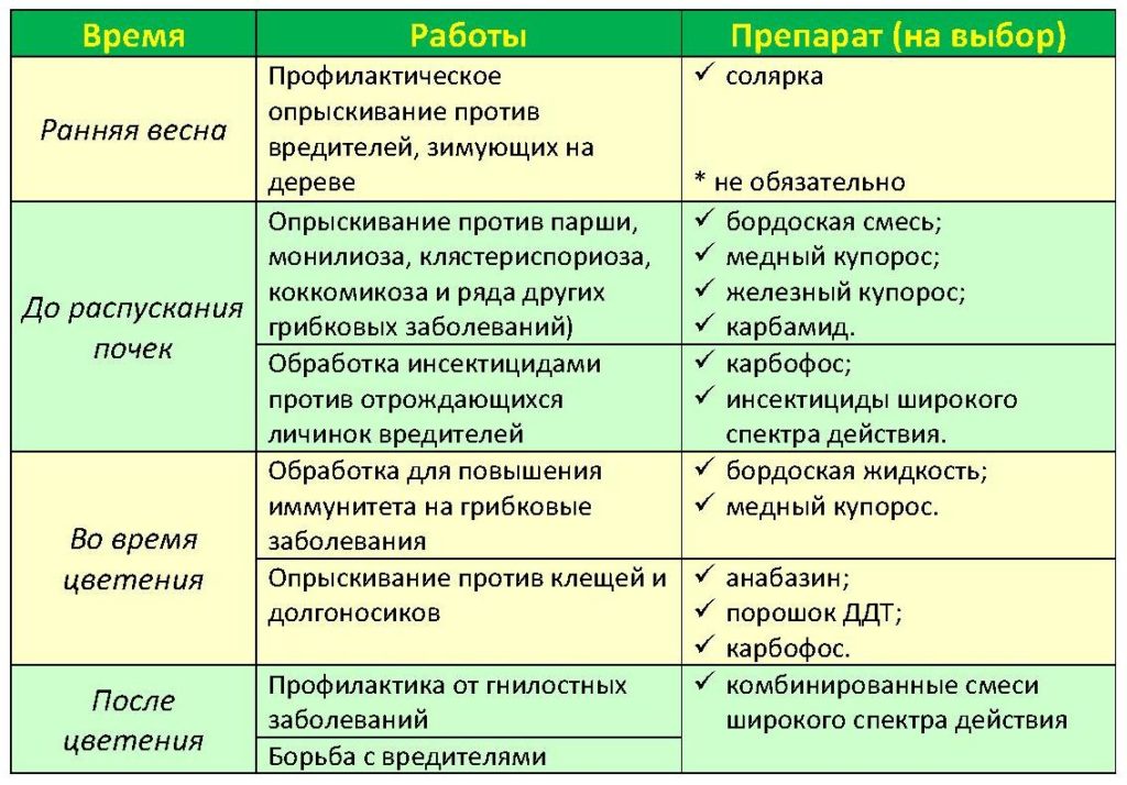 таблица сроков опрыскивания яблонь весной