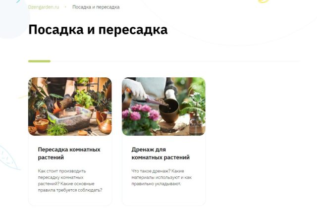 Инструкция по пересадке комнатных растений