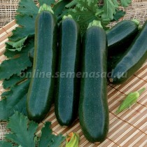 Кабачок Кабачок