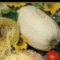 Кабачок Кабачок
