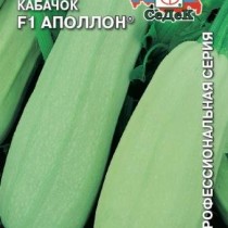 Кабачок Кабачок