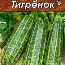 Кабачок Кабачок