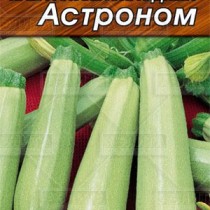 Кабачок Кабачок