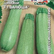Кабачок Кабачок