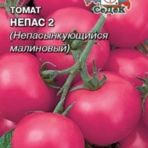 Томат сорт «Непас2» Томат сорт «Непас2