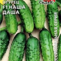 Наша Даша F1 Огурец «Наша Даша F1
