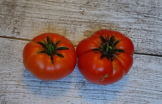 Томат «Большая паста Кэрол Чико» (Tomato Carol Chyko’s Big Paste)
