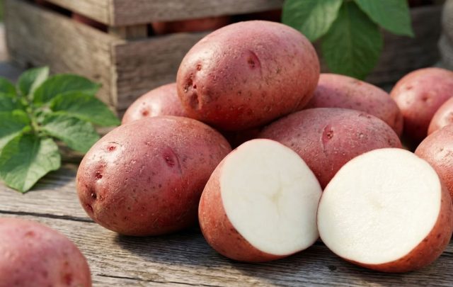 Картофель Любава