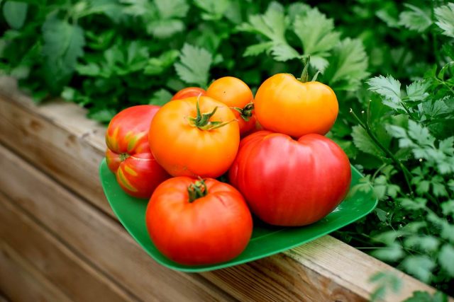 Секреты выращивания вкусных томатов с учетом кислотности и состава почвы