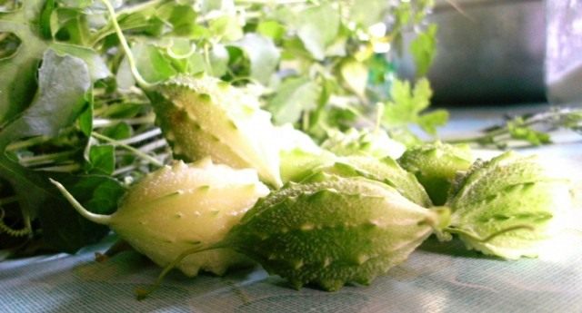 Цветущая лиана момордики
