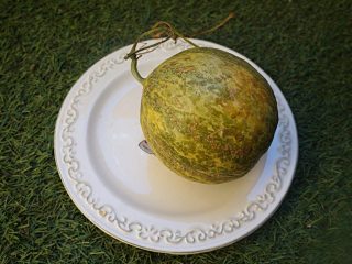 Дыня «Шаранте» (Кавайонская дыня)