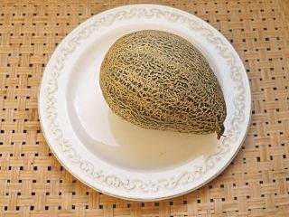 Дыня «Дамский завтрак