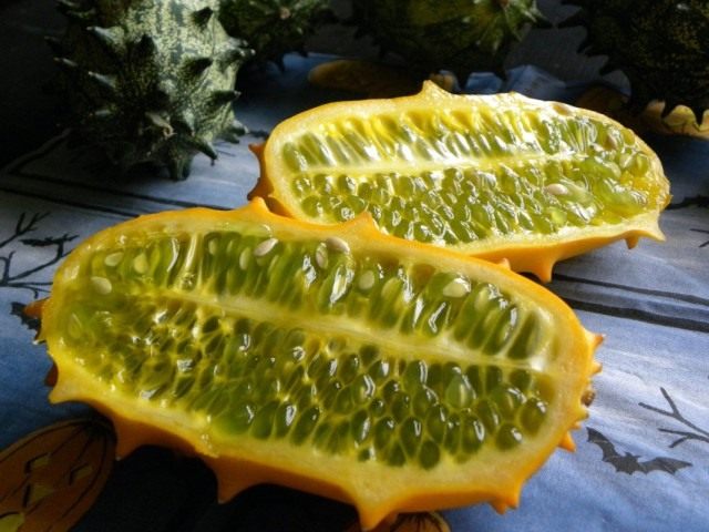 Кивано, немесе мүйізді қауын, немесе африкалық қияр (Cucumis metulifer) Кивано, немесе мүйізді қауын, немесе африкалық қияр (Cucumis metulifer)