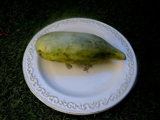 Огурдыня «Мацарен»