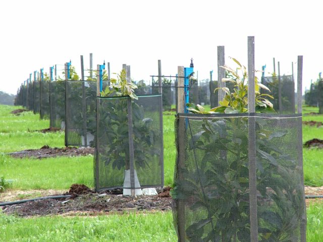 Подготовка к зиме