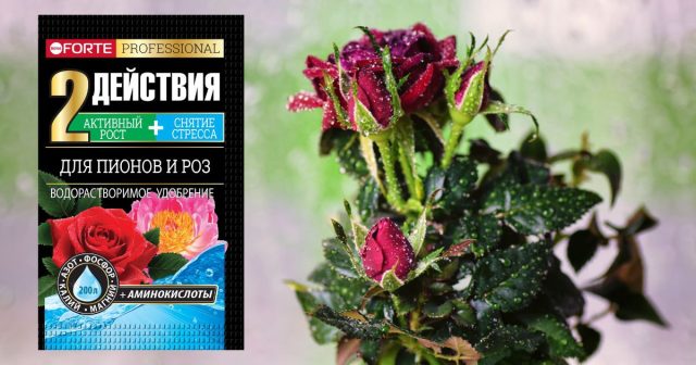 Внесение жидких удобрений