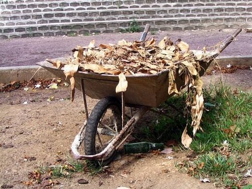 Компостирование опавших листьев