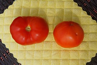Томат «Гном Розелла Гигант» (Giant Dwarf Rosella Tomato)