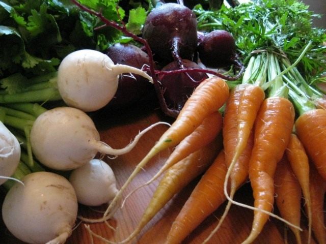 Правила прореживания корнеплодов для получения крупных и ровных овощей