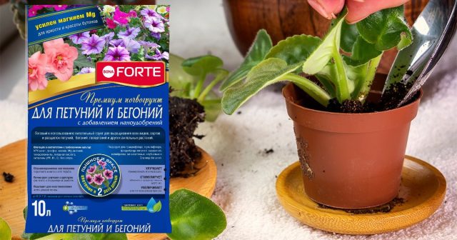 Bona Forte петуниялар, бегониялар, пеларгониялар және басқа да аспалы өсімдіктерге арналған жоғары сапалы құмыра топырағы. Шегіргүлдерге арналған сапалы топырақты таңдау