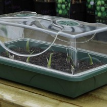 Пропагатор EarlyGrow MPL50031 /P