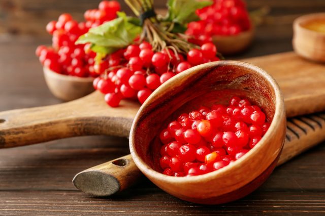 Oziqlantiruvchi va yoshartiruvchi viburnum niqobi yuz terisi uchun juda foydali.