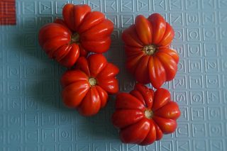 Лотарингская красавица