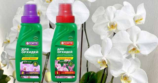 Оба комплексных состава для орхидей Bona Forte вносятся в воду для полива в концентрации 10 мл на 1,5 л воды. Приготовление питательного раствора для полива орхидей