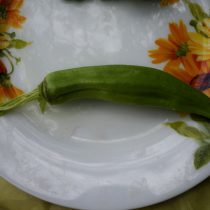 Бамия «Дамские пальчики