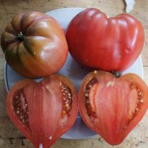 Томат «Пурпурное Сердце» (Dwarf Purple Heart)