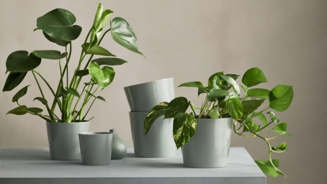 Керамические горшки в скандинавском стиле