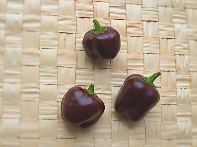 Перец сладкий «Мини Белл шоколад» (Capsicum annuum ‘Mini Bell Chocolate’)
