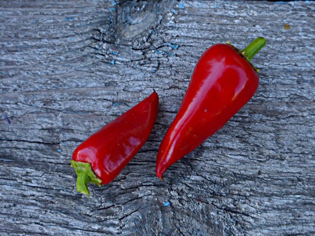 Перец сладкий «Помада» (Capsicum annuum ‘Lipstick’)