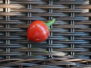 Перец сладкий «Черри Сладкий» (Capsicum annuum ‘Sweet Cherry Peppers’)