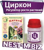 Методы борьбы с засухой у домашних цветов