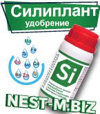 Роль кремния в укреплении клеточных стенок растений