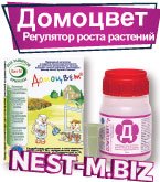 Защита растений от перегрева и солнечных ожогов