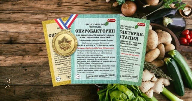 Применение Споробактерина для защиты рассады от грибковых инфекций и гнилей
