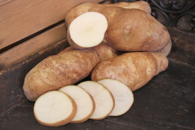 Самый распространённый «фри-чипсовый» сорт картофеля
