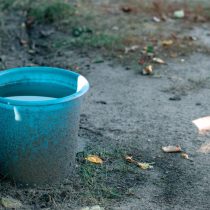 Крыс привлекают прохудившиеся трубы, ведра с водой, лужи, пруды и другие источники стоячей воды