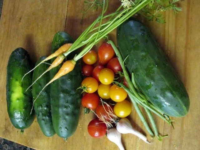 Урожай ранних овощей и спаржи