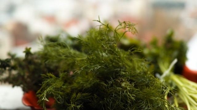 Свежая зелень укропа богата витаминами и эфирными маслами