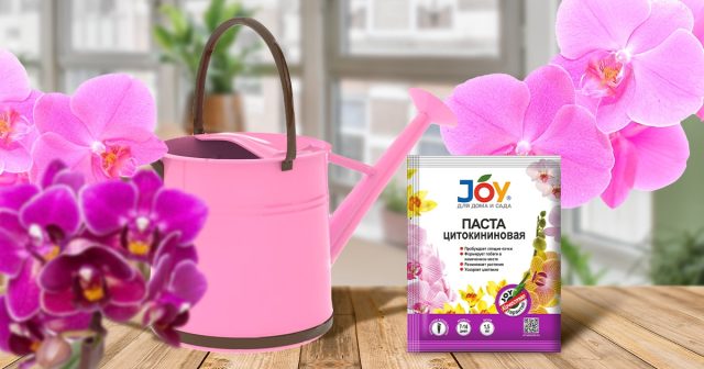 Стимуляция роста цветоносов у орхидеи