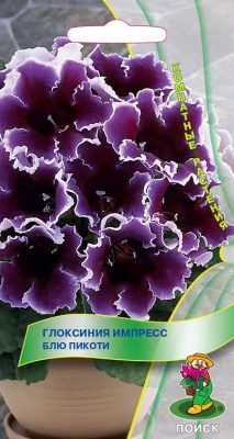 Цветущая глоксиния