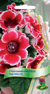 Глоксиния с красной каймой