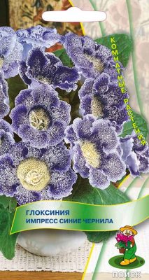 Глоксиния синих оттенков