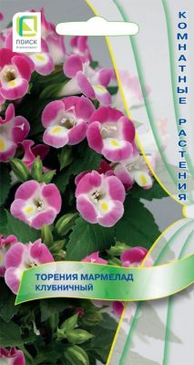 Цветущая торения